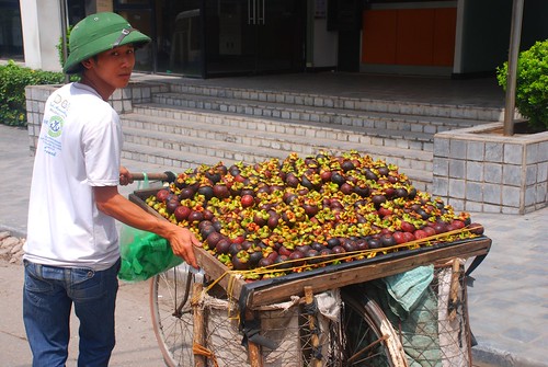 mangosteen seller