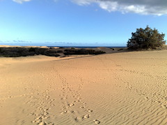Gran Canaria - Maspalomas Dunes' Sunset