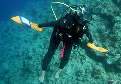 Manta Diver, Okinawa Japan