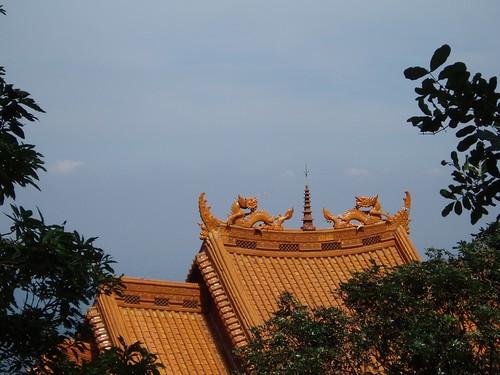 你拍攝的 圖片3-仙公廟屋頂。