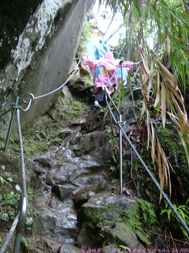 katharine娃娃 拍攝的 11崎嶇山路。