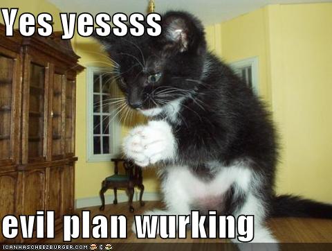 funny-pictures-your-cats-evil-plan-is-working