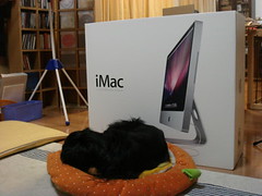 iMac-DSC00421s