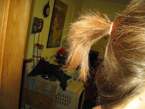 I have a ponytail that looks like a pullet's butt.