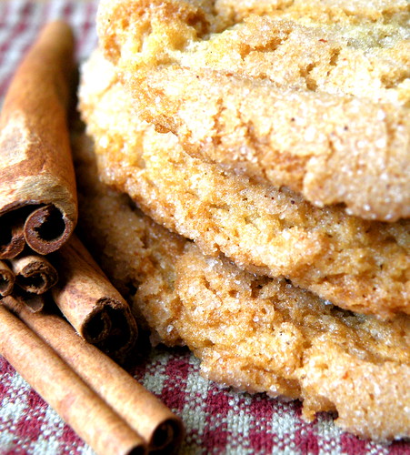 Recipe: Big, Old-Fashioned Snickerdoodles blog image 1