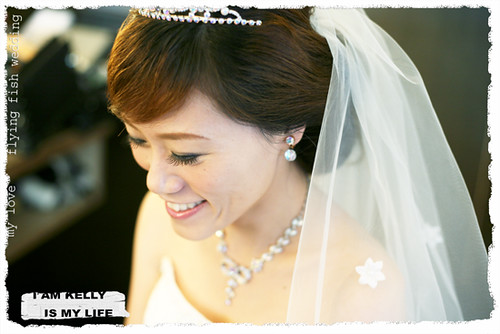 你拍攝的 20090118健琳結婚。