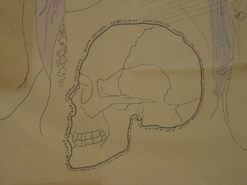 skull in a drawing by Jef Geys, representing the Belgian pavilion