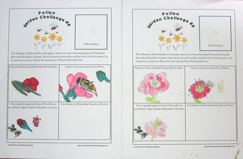 Garden Flowers Notebook Pages