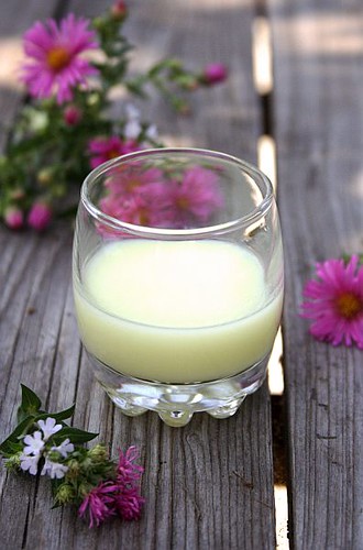 Creamy Limoncino