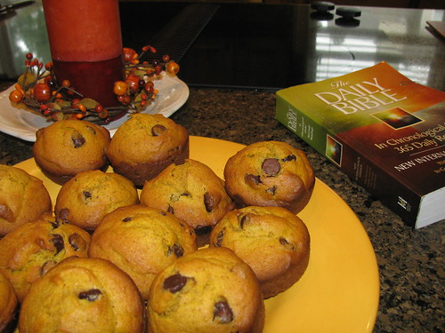 pumpkin chocochip muffins