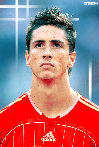 Fernando Torres my love :)