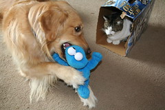 Sadie showing KeKe her toy