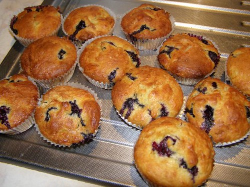 blueberry muffins ala elise