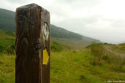 WHW Route Marker near Tyndrum