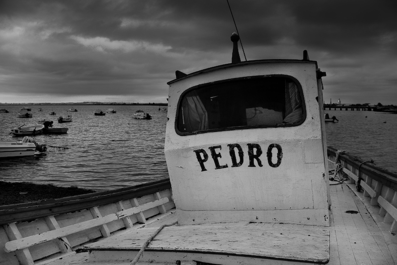 162 _MG_3007 - Pedro