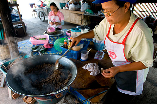 Paa Add making laap khua, 'fried' laap, Mae Hong Son