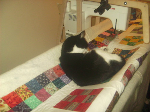 Staking A Claim. So, I went to quilt the nine-patch top today, and this is what I found. Thanks, Demon, for staking your claim before THIS TOP IS EVEN QUILTED.