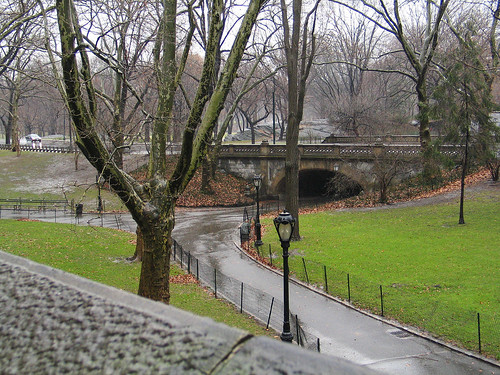 Central Park, in the rain