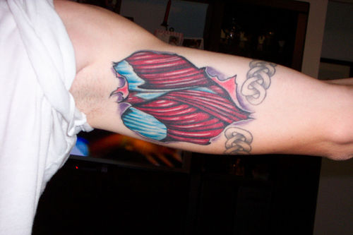 Arm muscle rip anatomy tattoo. Submitted by Robert Nelson