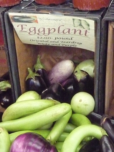 Union Square Greenmarket eggplants