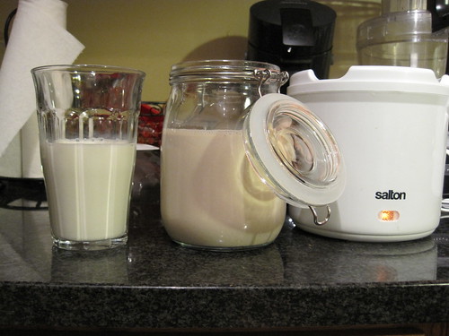 Color Difference Chai Yogurt, Glass of Milk