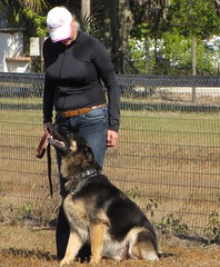 Dog Training - Jan 2009