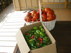 Garden Peppers & Tomatoes