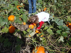 Lilliann Looking For A Pumpkin