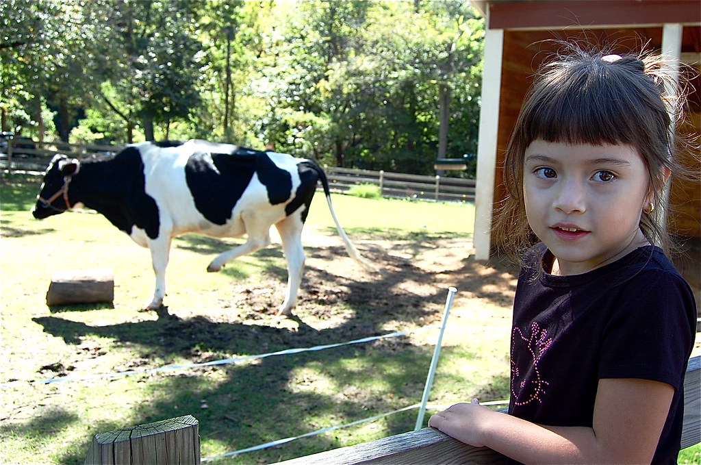 Look, mom! The cow can stand on two legs. Or something.