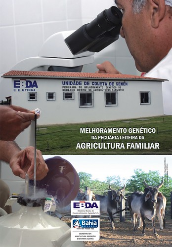 EBDA - Melhoramento Genético by RBRosaBrasil