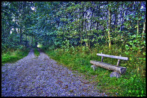 path bench
