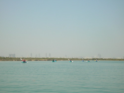 Mangrove Kayaking