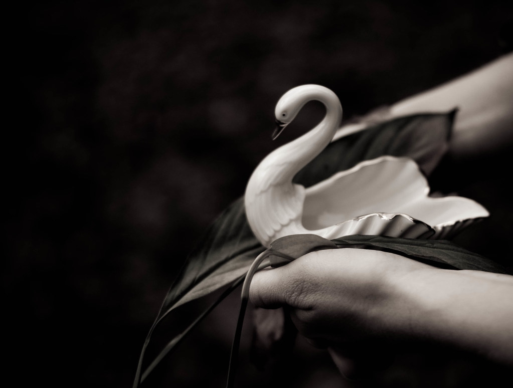 Because no home is complete without a swan. Period.