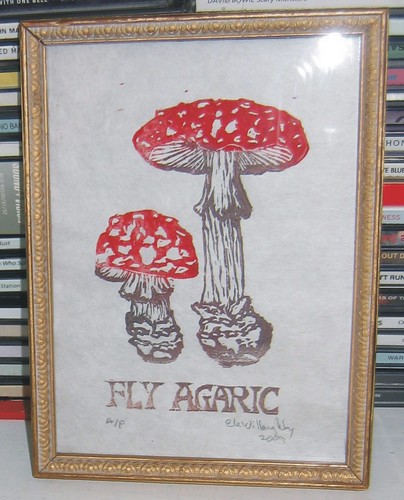fly agaricframed proof