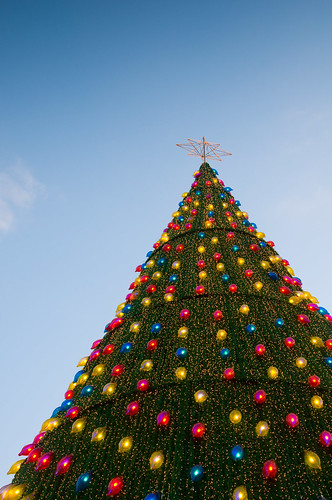 Christmas Tree at Vivo-002