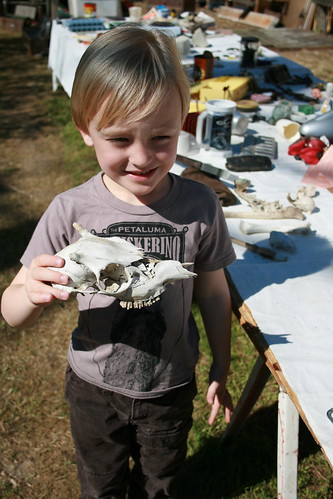 August with Calf (Goat?) Skull