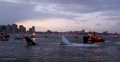 Hudson River plane crash