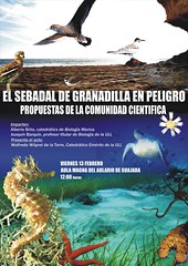 1. Conferencia: El sebadal de Granadilla en peligro. Propuestas de la comunidad científica.