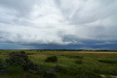 Storm over marsh