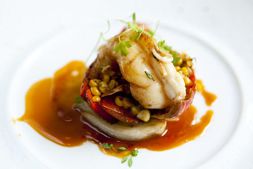 Roasted Maine Lobster with Sweet Corn, Baby Fennel and Basil