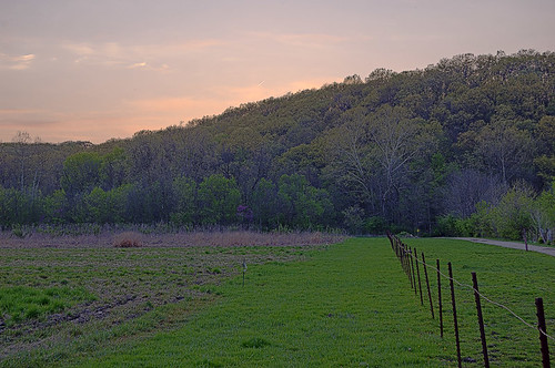 Forest 44 Conservation Area, near Valley Park, Missouri, USA - prairie and hill at dusk 2