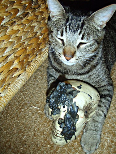 Cat In Lederhosen. Lederhosen Halloween Kitty