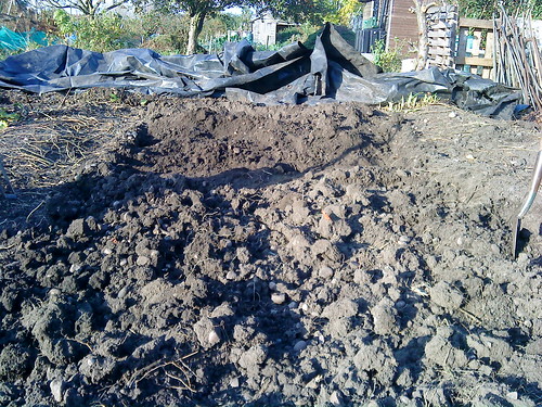 dug ground 2