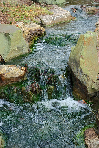 Japanese Garden waterfall, at the Missouri Botanical Garden (Shaw's Garden), in Saint Louis, Missouri, USA