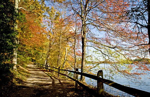 Autumn Trail by Alida's Photos