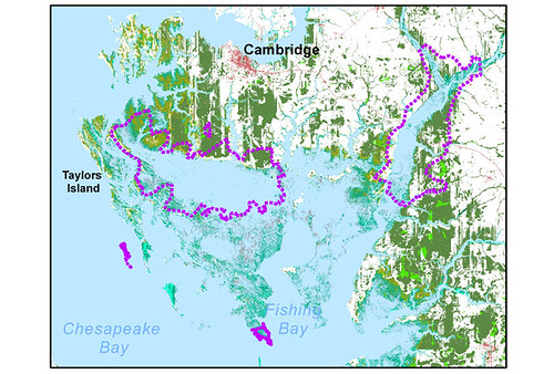 Blackwater NWR and MD's Eastern Shore in 100 years (courtesy of National Wildlife Federation)