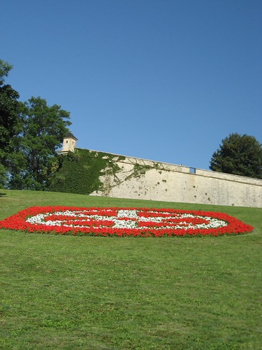 Erfurter Blumenrad