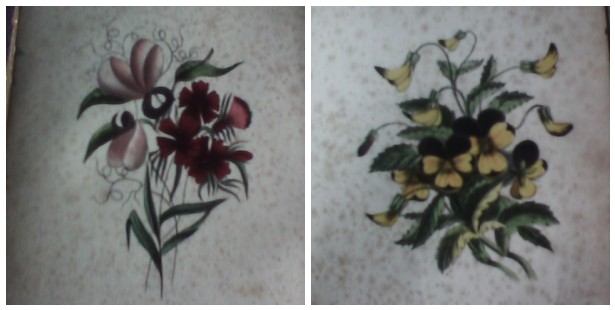 The Floral Forget Me Not book plate Pansy & Sweet Pea (1854)
