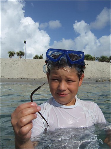 Jake catches a nice pipefish!