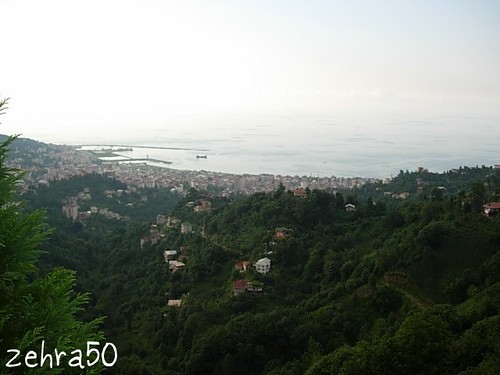 rize2